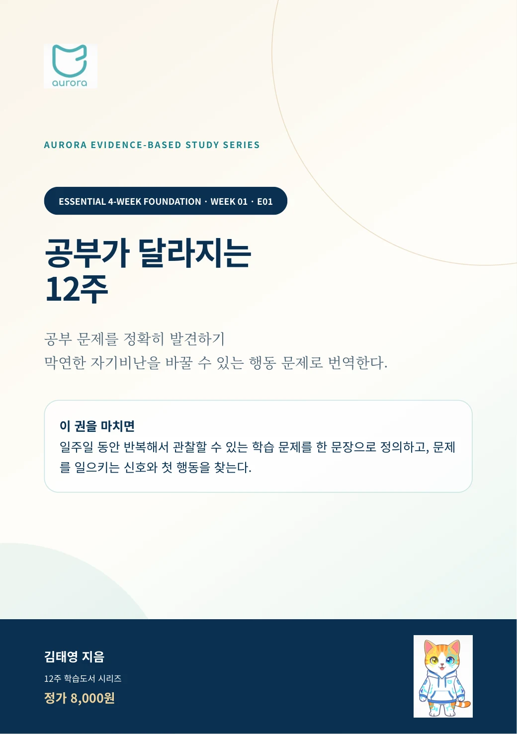 공부 문제를 정확히 발견하기